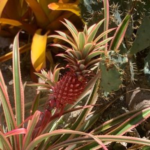 Meet your Posher, Lorena